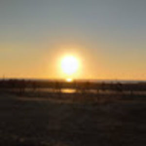 Meet your Posher, Iliana